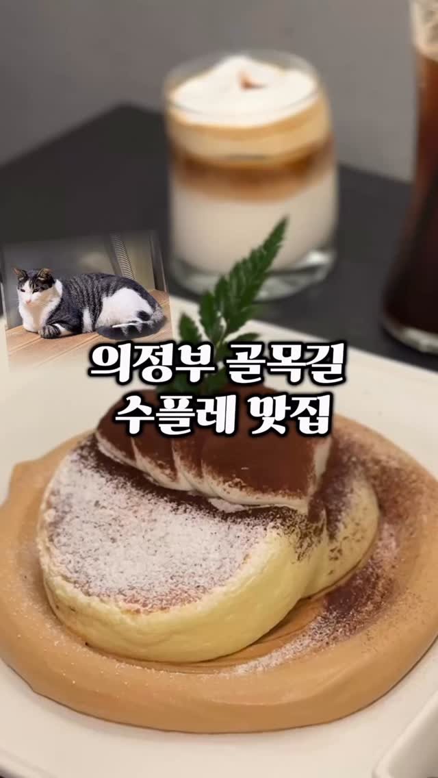 ymuk__sik 게시물 이미지: 의정부시내
골목 어딘가 숨어있는데

고양이 따라가면 
찾을 수 있어요...