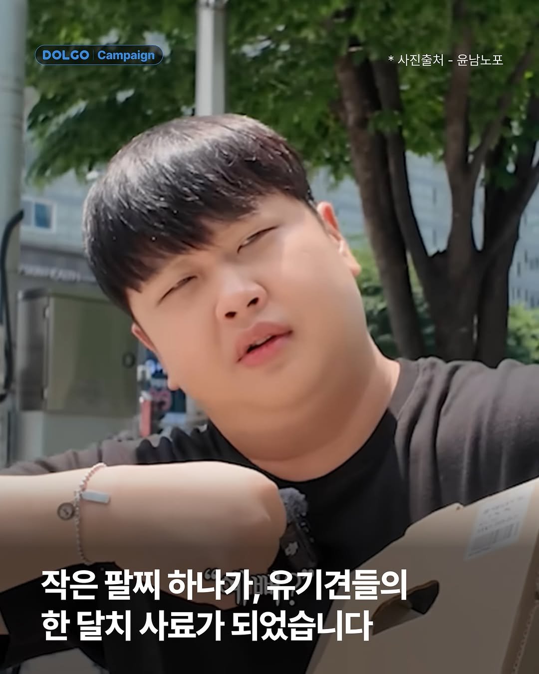 ynncook 게시물 이미지: [캠페인 후기] 작은 팔찌 하나가 만든 변화

도움을 요청하는 보호소는 늘어나고...