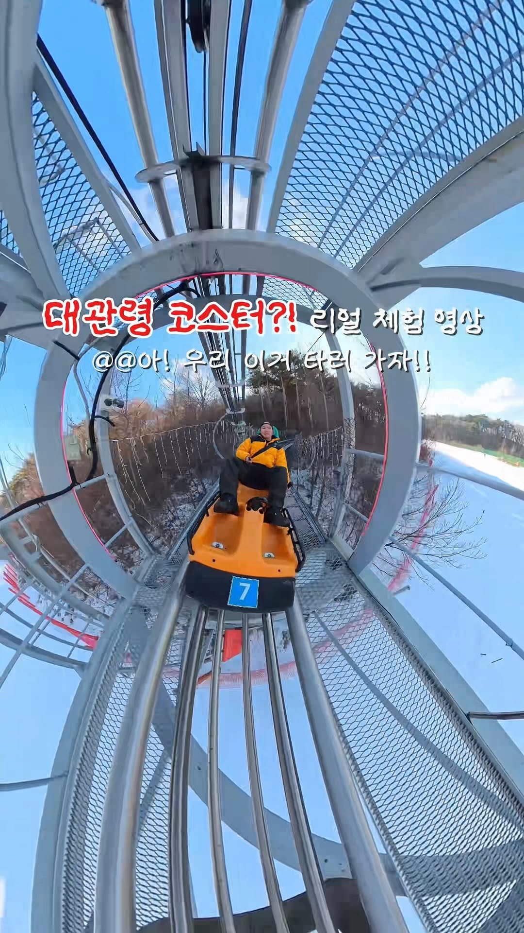 yo.na_bong 게시물 이미지: (저장🔖)대관령 가서 이거 안타고 오면 후회함‼️

산 정상에서 약 1000미터...