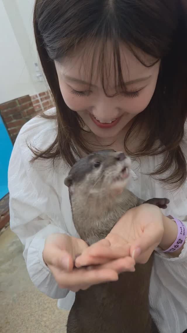 yo_ryeong 게시물 이미지: 샤갈!!! 나 큰일나써요!!! 
수달이 너무 귀여워서 자꾸만 여길 가요!!!...