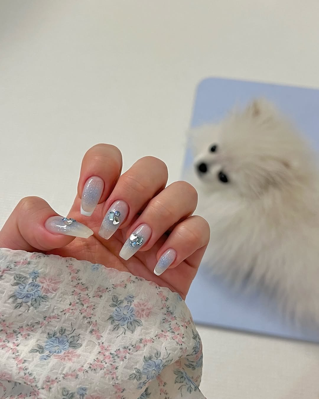 yoah_nail 게시물 이미지: ☁️
저의 반려견 뭉개와 함께 가끔씩 출근하고 있어요☁️
혹시나 강아지 알레르기가...