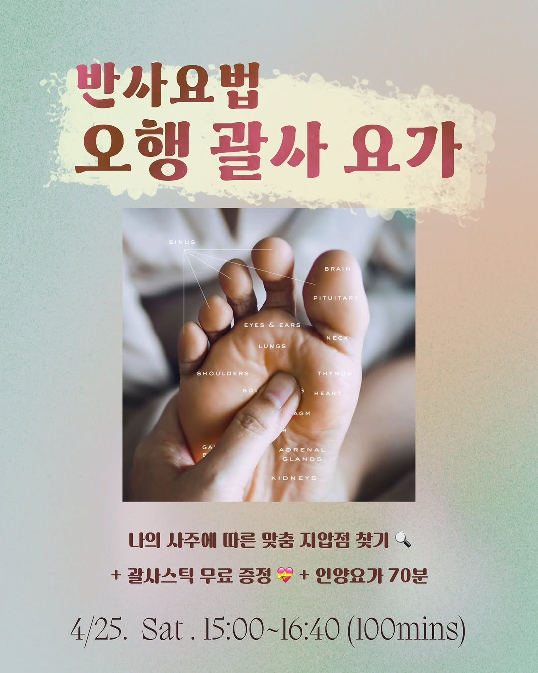yochamdal 게시물 이미지: 🐾 발바닥 하나에 우리 몸 전체가 담겨 있다는 사실, 
알고 계셨나요?
제가...