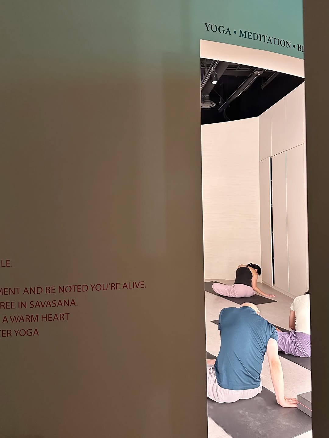 yoga.twohands 게시물 이미지: #광교요가
비 내리는 하늘 아래, 가장 맑아지는 우리의 시간. ☁️🌨️🧼

0709...