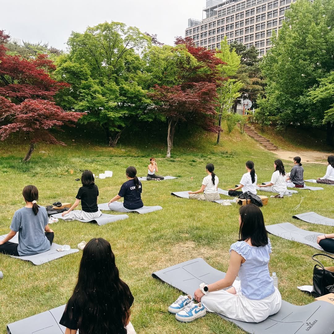yoga.twohands 게시물 이미지: #캠퍼스요가
0519 TUE 4pm
Campus yoga +...