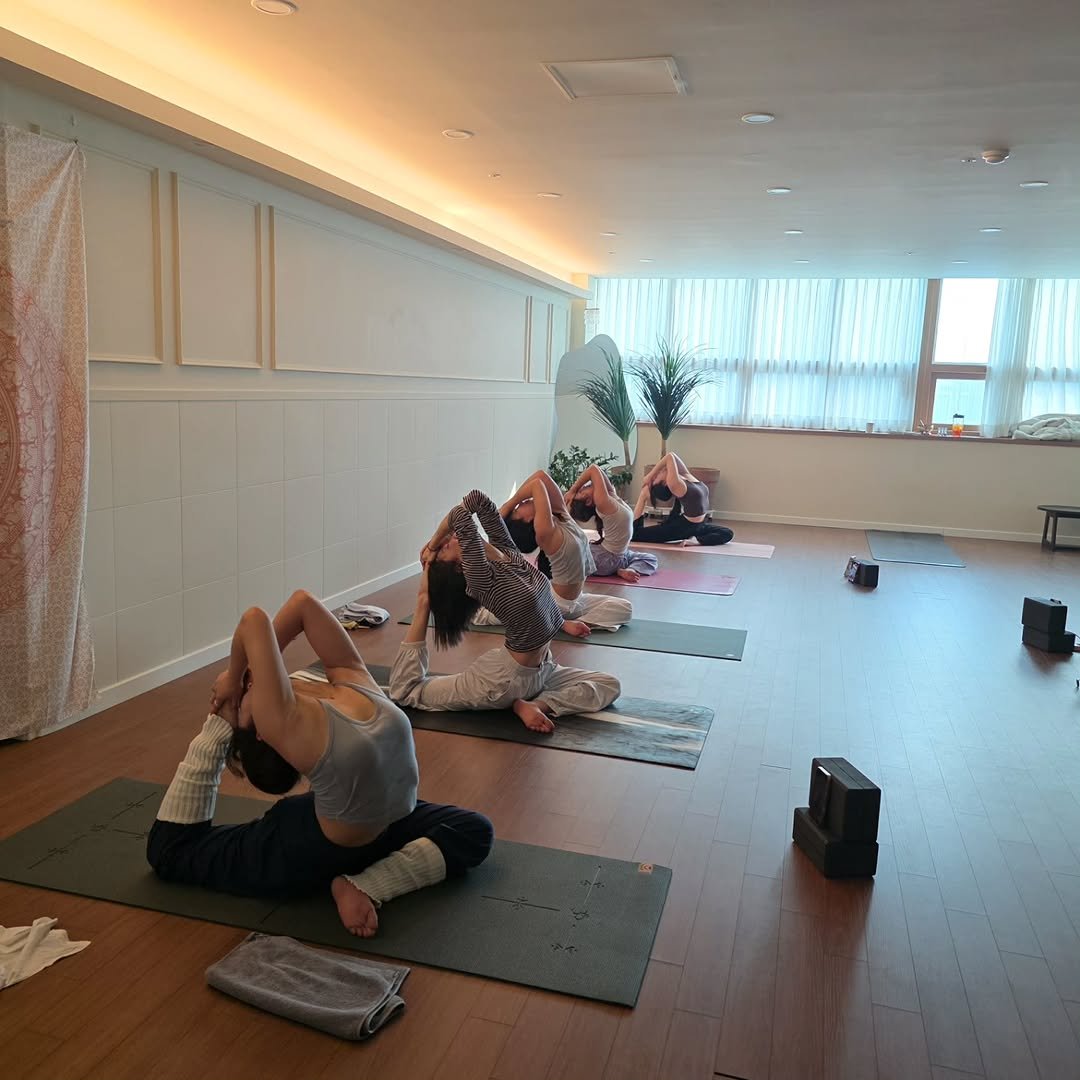 Photo shared by 요가지몽 on January 15, 2026 tagging @pindayoga. May be an image of yoga and text.