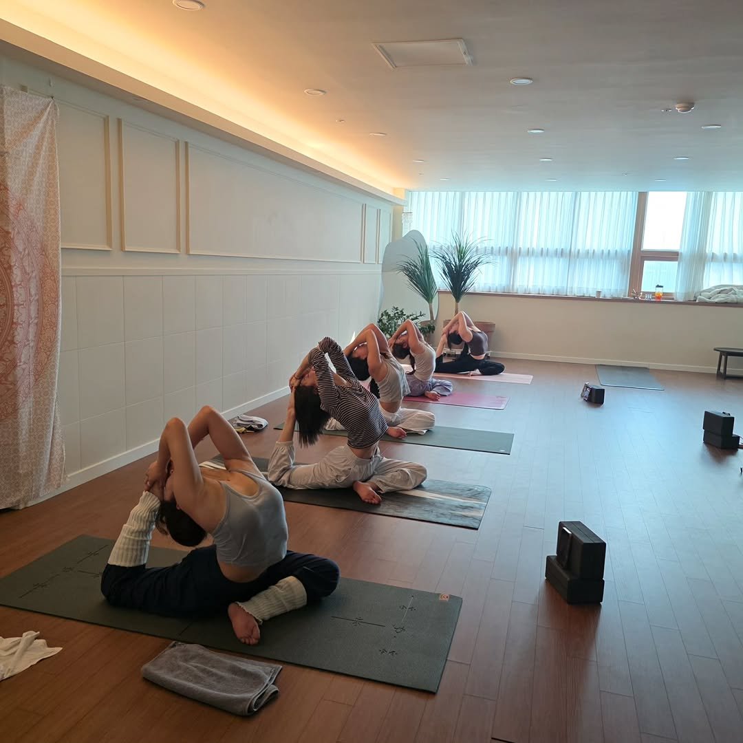 yoga_zimong 게시물 이미지: 요가 화,목 반 @pindayoga
