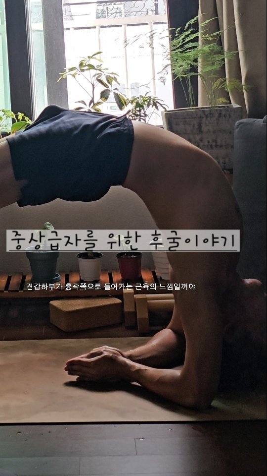yoga_zimong 게시물 이미지: 중상급자를 위한 후굴 이야기 part.1
수업때 2~3시간은 보완해가며 설명하는...