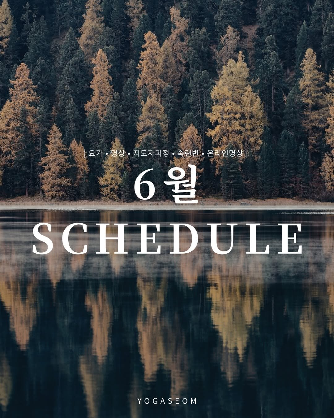yogaseom 게시물 이미지: 여름의 기운이 스며드는 6월입니다.
흘러가는 하루 속에서도 잠시 숨을 고르고,
몸과...