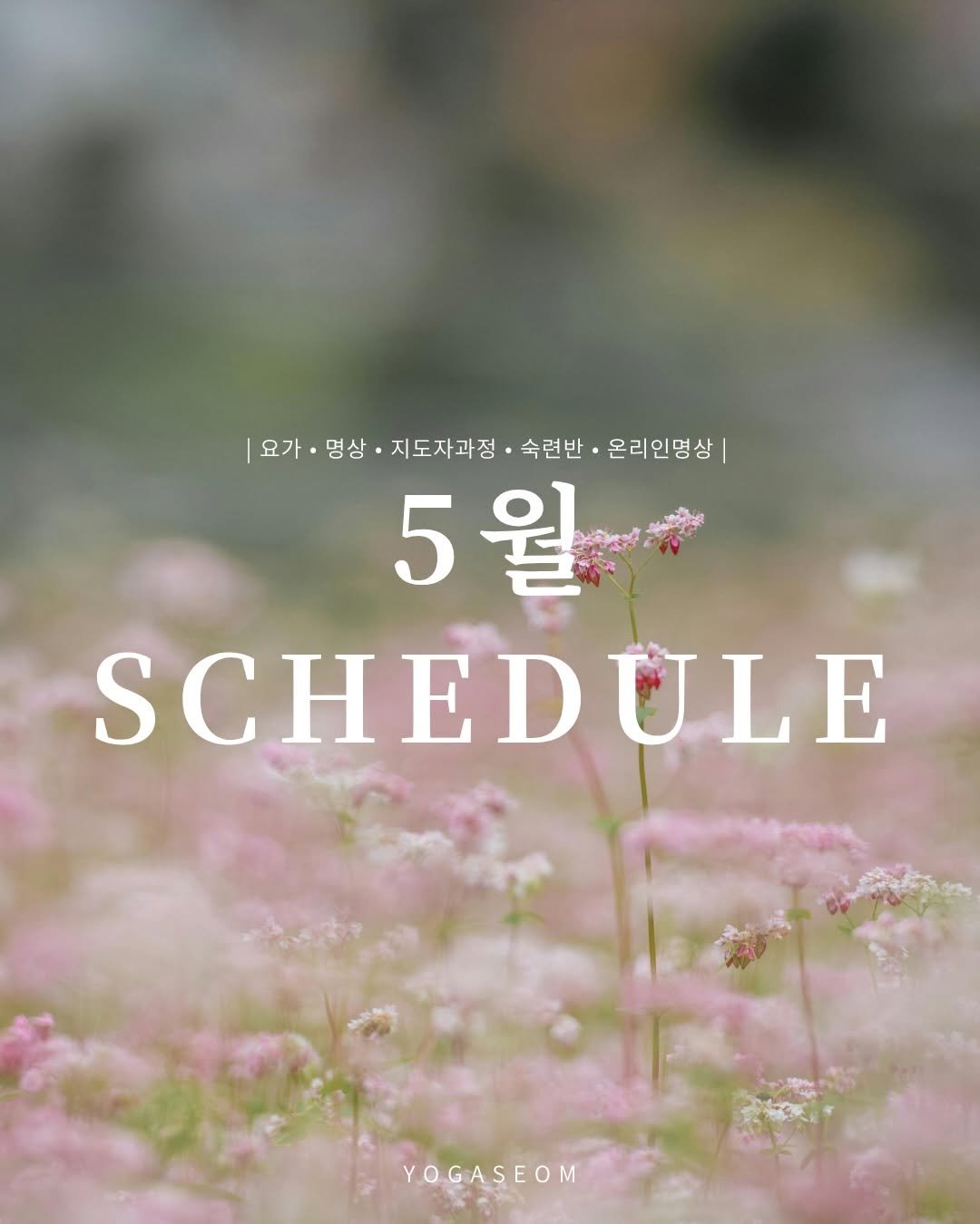 yogaseom 게시물 이미지: 물결처럼 번져오는 햇살과
조금 더 깊어진 바람의 온기 속에서,
요가섬의 오월이...