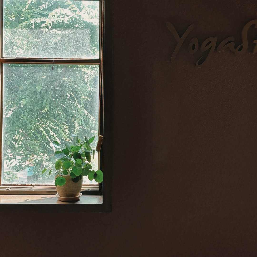 yogastory_official 게시물 이미지: 요가는 정답을 만들기보다 의식을 확장하는 수행 입니다. 

내가 중요하게 여기는...
