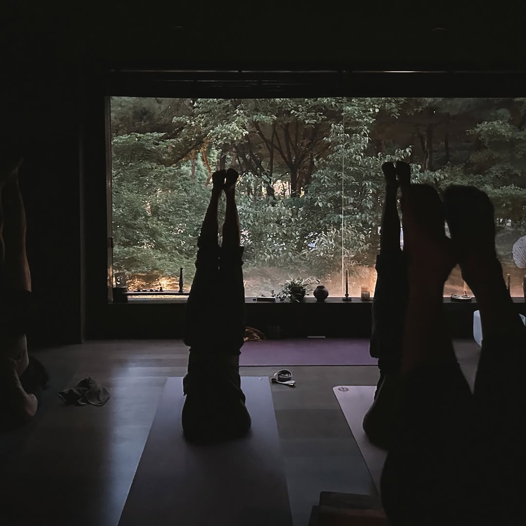 yogastory_official 게시물 이미지: 요가의 마음, 요가의 태도, 단순 매트 위에서의 움직임만이 아닌 요가의 본질이...