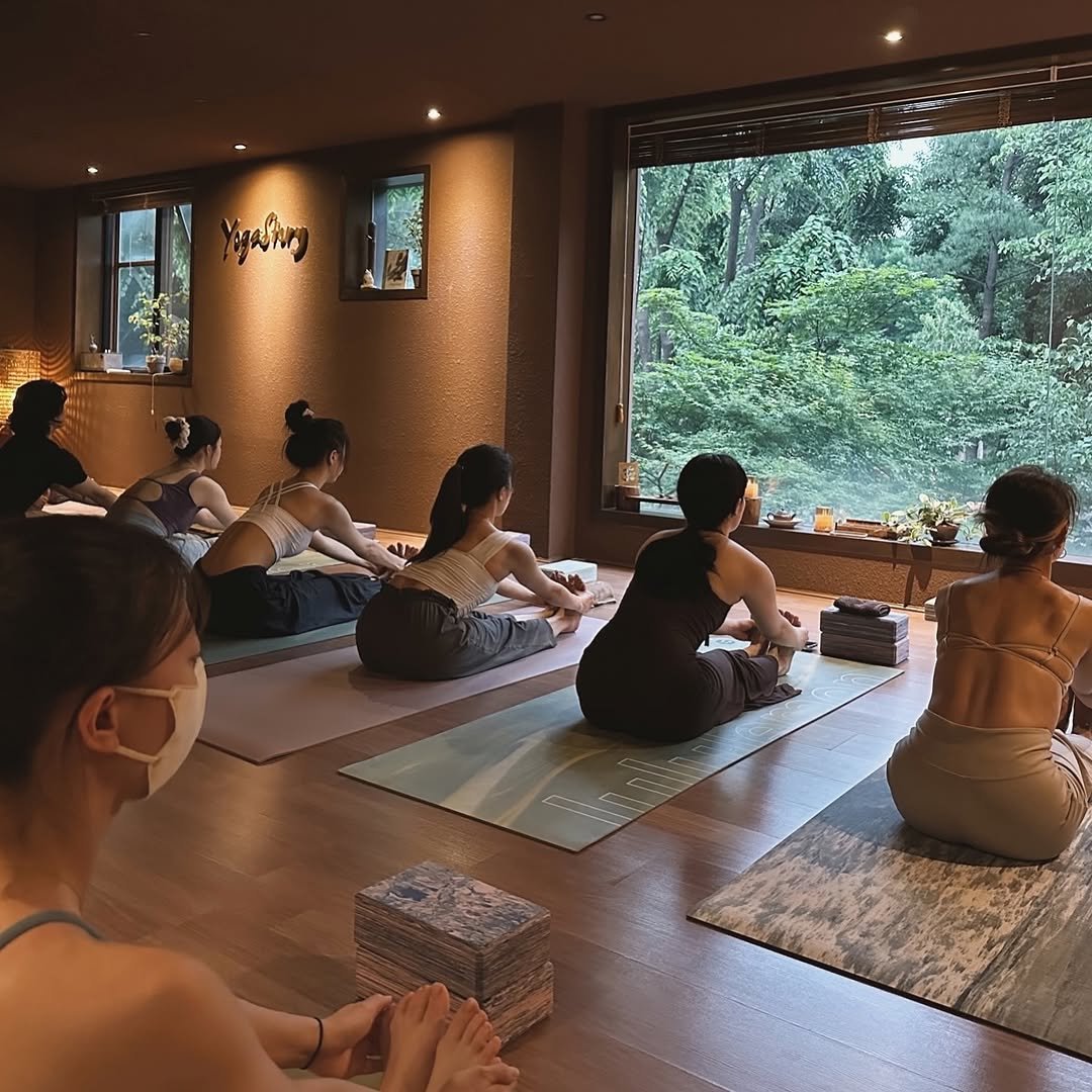 yogastory_official 게시물 이미지: 삶에 내리는 비를 양분 삼아 , 🌧️ 🤍 

✔️모든 문의와 등록 
 카카오채널 :...