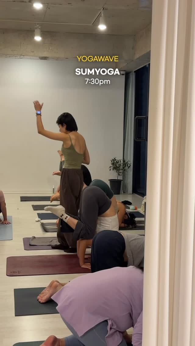 yogawave_insta 게시물 이미지: 화요일 저녁은 90분동안 찐하게 숨요가 시간🙌

하타요가를 기반으로 호흡과 함께...