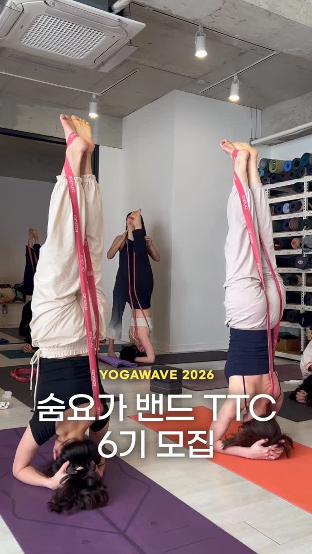 yogawave_insta 게시물 이미지: 🌿 숨요가 밴드 TTC 6기 모집 🌿

숨밴드를 활용해 더욱 안전하고 효과적으로...