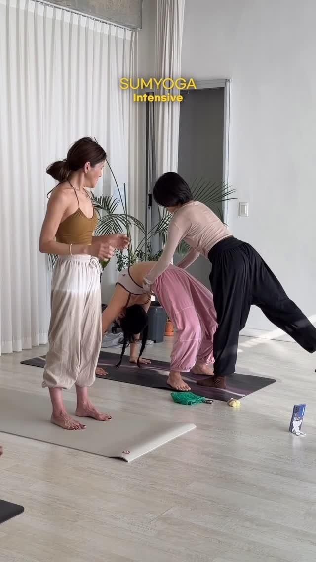 yogawave_insta 게시물 이미지: 요가웨이브, 오후 2시는 숙련자 분들을 위한 시간입니다 ✨🕑

그러나! 각자의...