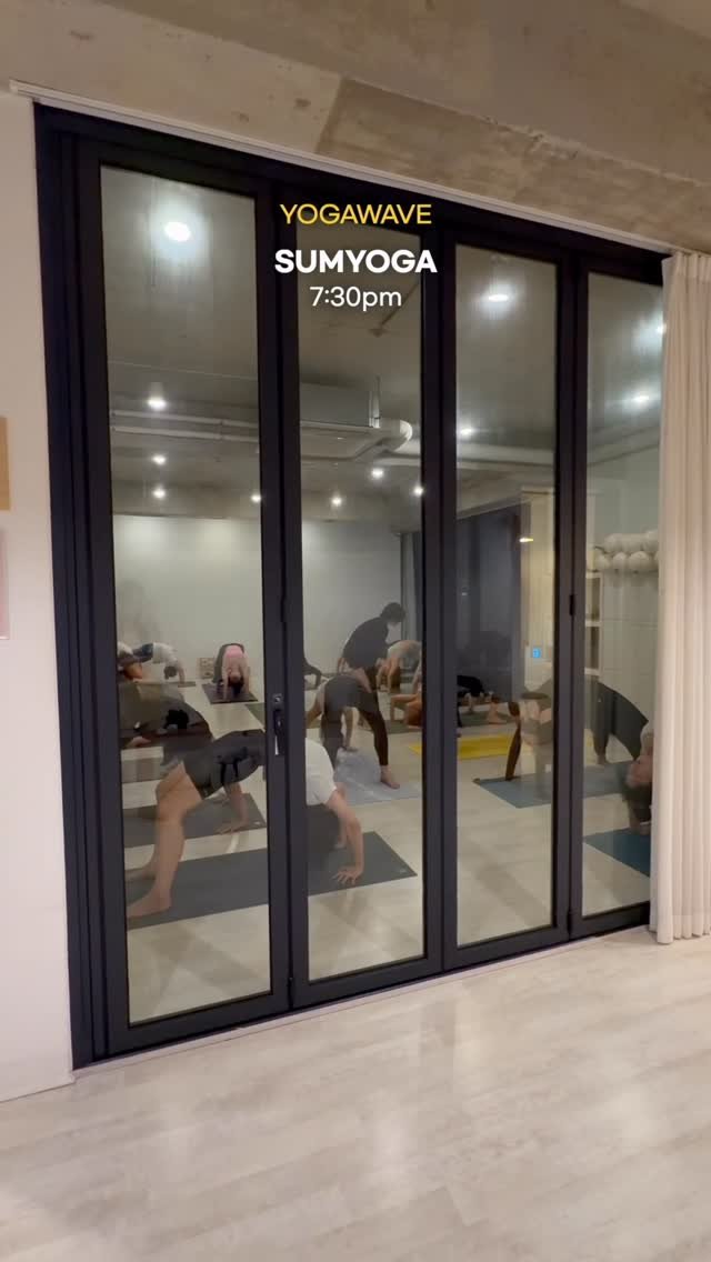 yogawave_insta 게시물 이미지: 하루가 저물어가는 늦은 시간에도 
🧘🏻‍♀️요가 하기 위해 총총총 와주시는...