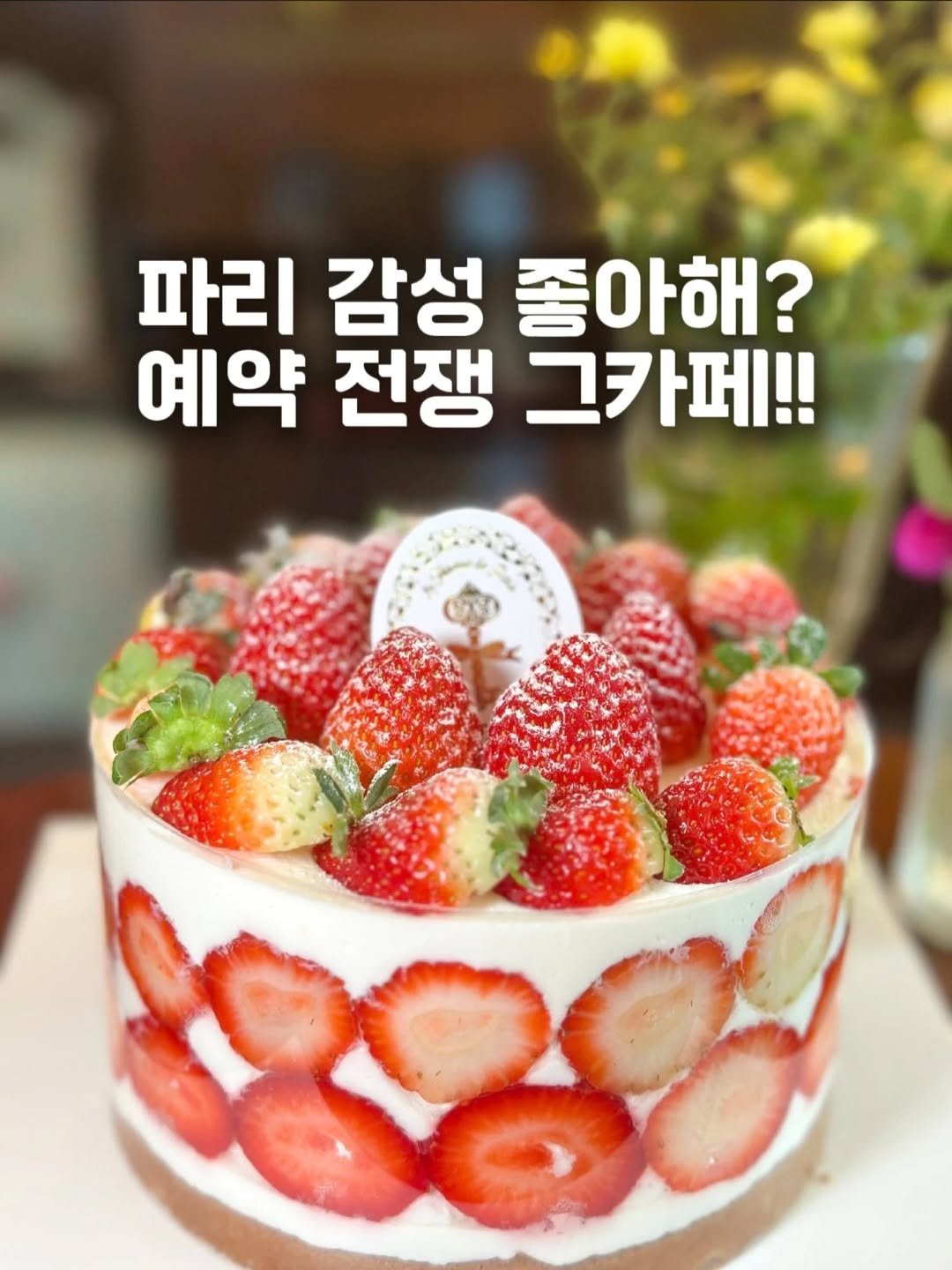Photo shared by 요기오때 🤗 맛집 카페 여행 × 드론🛸 on October 29, 2025 tagging @la_terrasse_de_paris. May be an image of cake, strawberry, pie, fruitcake and text that says '파리 감성 좋아해? 예약 전쟁 그카페!!'.