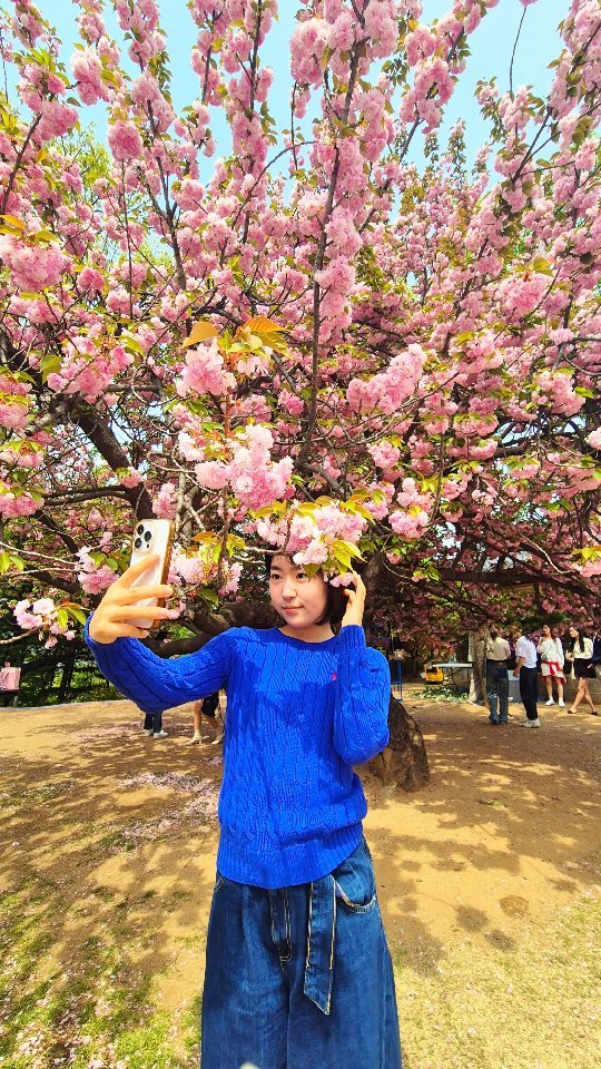yogiotte 게시물 이미지: 🌸겹벚꽃과 한옥의 조화라니!
💙국회의사당 사랑재에 겹벚꽃이 활짝...