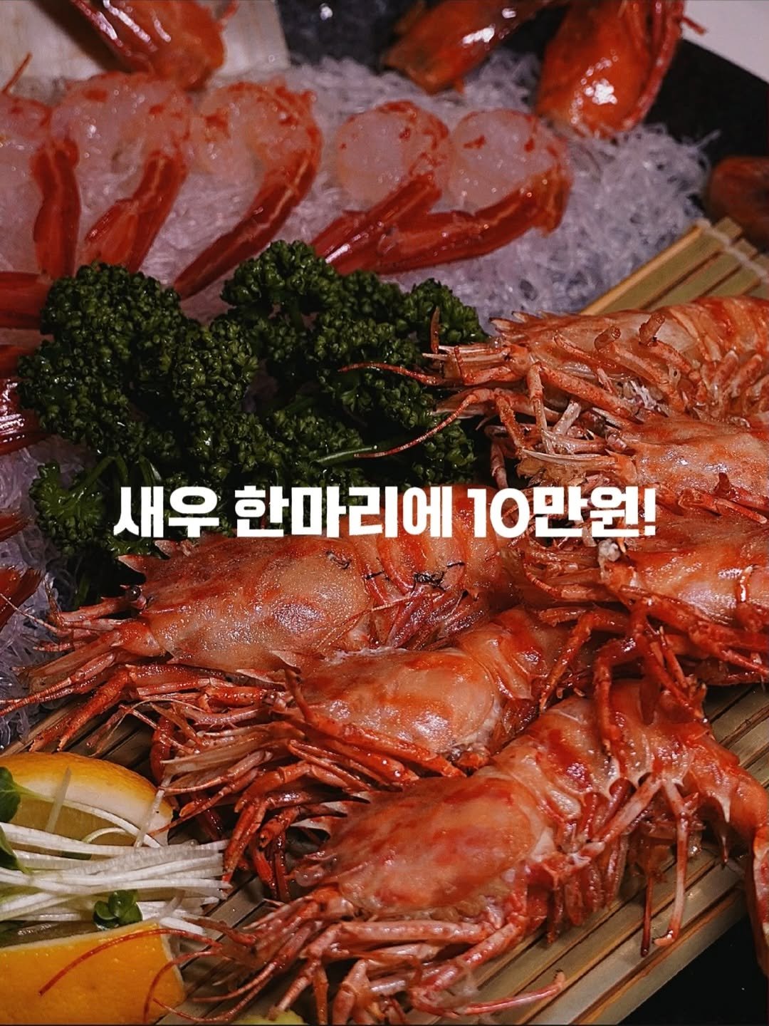Photo shared by 요기오때 🤗 맛집 카페 여행 × 드론🛸 on April 20, 2026 tagging @junghan0092, and @l__wonwoo. May be an image of shrimp, prawn, shellfish and text that says 'oO மரமா . 새우 한마리에 10만원!'.