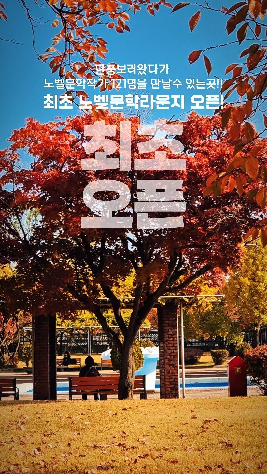 yogiotte 게시물 이미지: 👍 공공도서관 최초!
📖 정독도서관 노벨문학라운지 오픈! 

🍁요즘 경복궁·북촌...