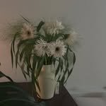 lovel.y_o 프로필 사진