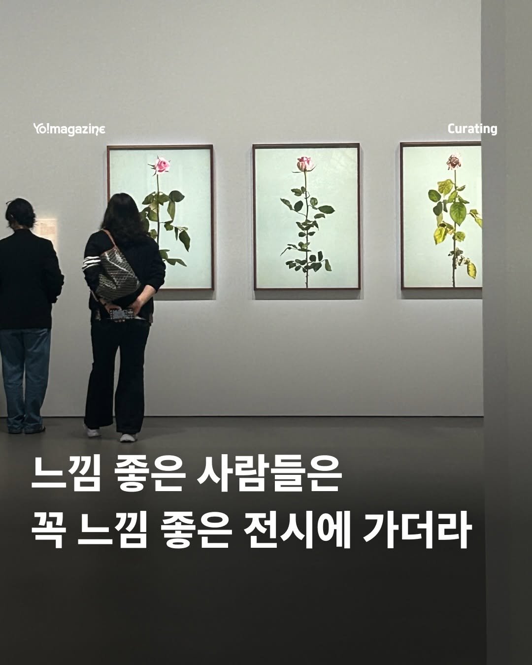 yomagazine_ 게시물 이미지: 5월에 여기 가볼까 우리

📸 요매거진 / 각 페이지