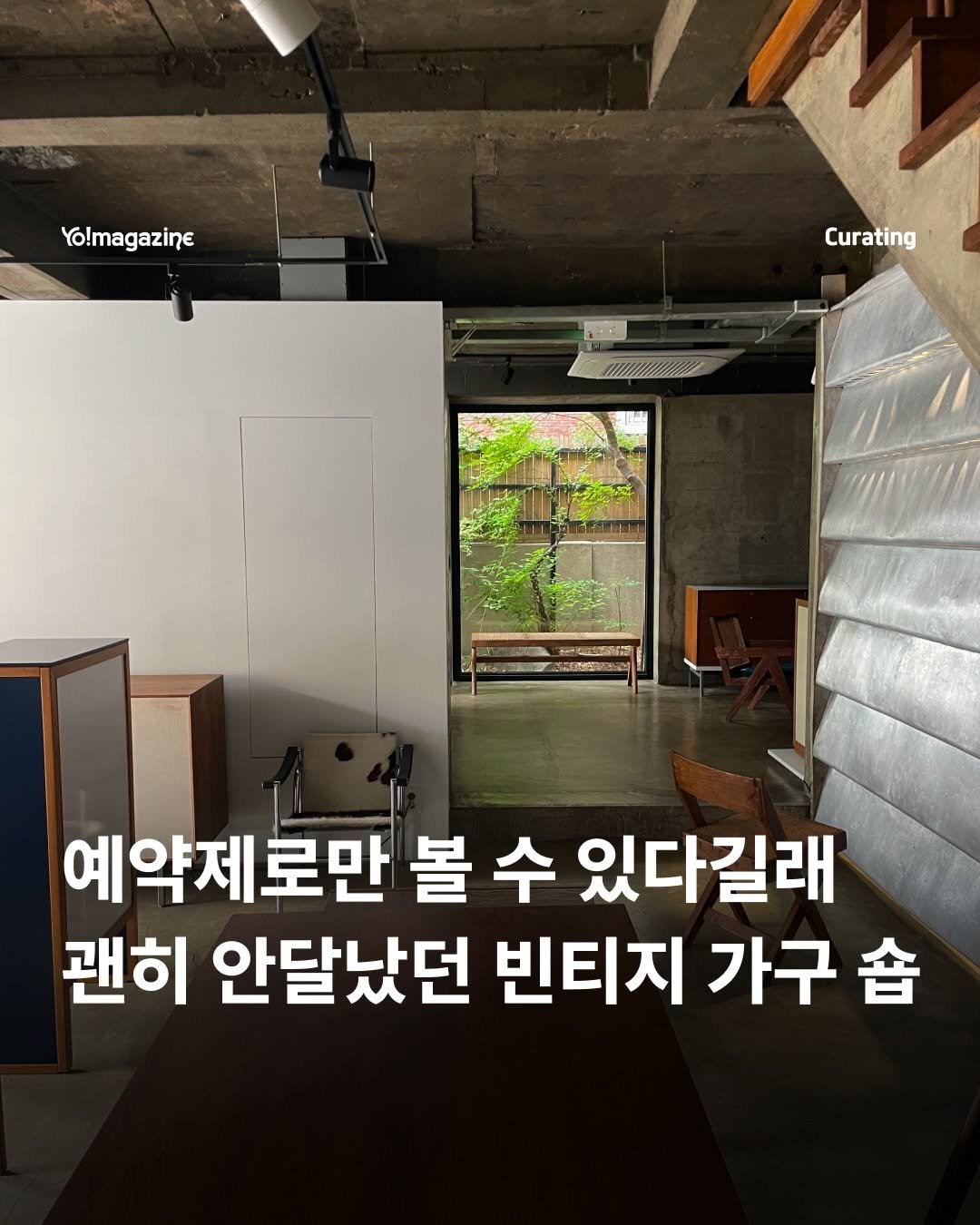 yomagazine_ 게시물 이미지: 우리도 연희동으로 가볼까😲

부산에서 연희동으로 자리를 옮긴 빈티지 가구 숍...