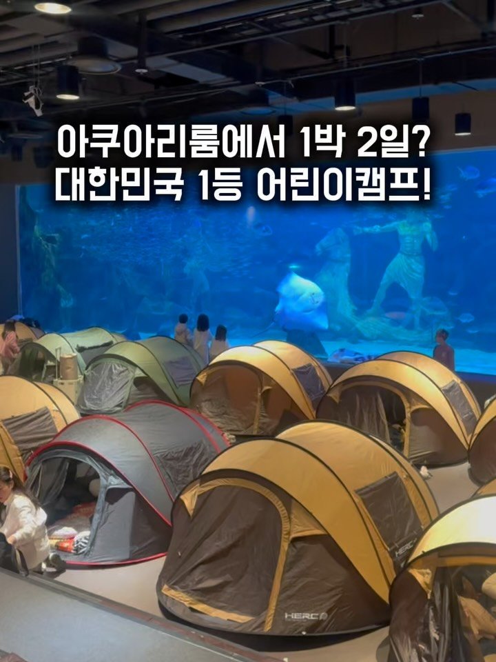 yomimom_travel 게시물 이미지: 🚨지금 바로 예약 가능합니다. 1/18(일)까지 공구연장 되었어요‼️

✔️2월...