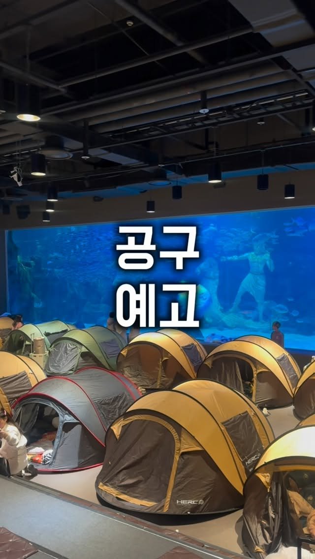 yomimom_travel 게시물 이미지: 🚨지금 바로 예약 가능합니다. 1/18(일)까지 공구연장 되었어요‼

️✔️2월...