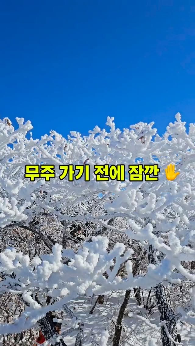 yomimom_travel 게시물 이미지: 📍이번 주말 무주에 눈 온대요❄️ 

‼️스키 출동하시기 전에 이 영상 꼭 보고...