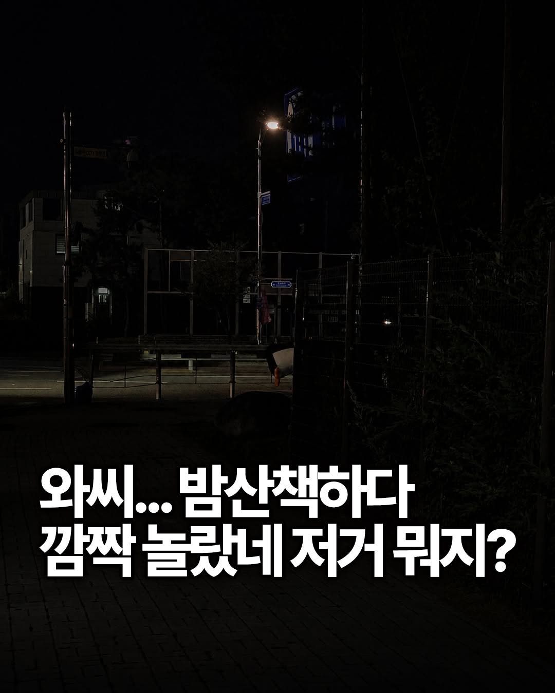 yong_ssaboo 게시물 이미지: 와씨 밤산책하다가 깜짝 놀랐네...