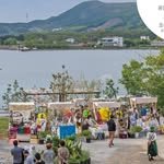 ddookmarket 프로필 사진