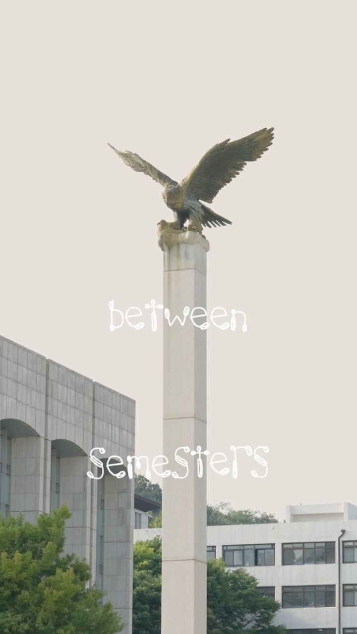 yonsei_official 게시물 이미지: Yonsei, Between Semesters 

종강 뒤에도 여전히 푸른 여름의...