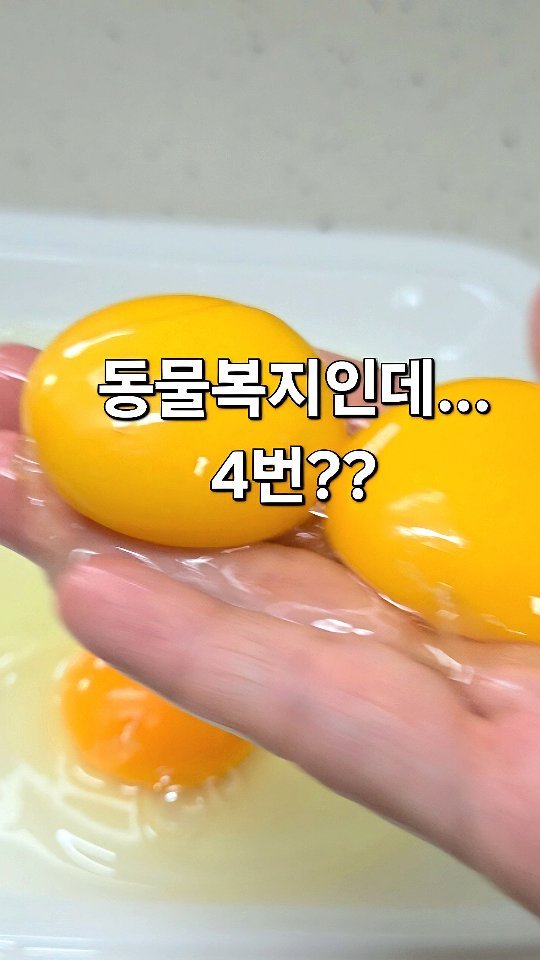 yony_jipbab 게시물 이미지: 여러분, 마트에서 계란 사실 때
이거 꼭 확인하세요 👀
혹시 뒷번호 보신 적...
