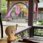 ss_a36.1 프로필 사진