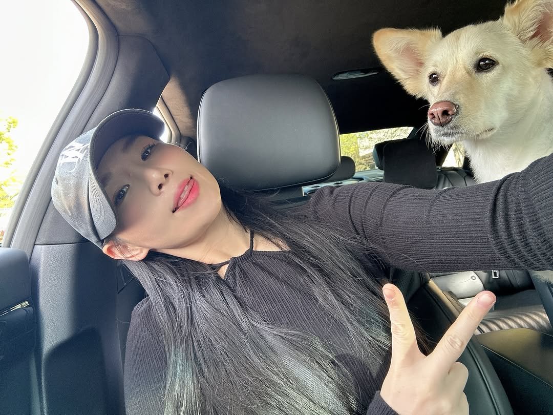 yoojin_gym 게시물 이미지: 크림이 🐶 유진이 
#서산 #시고르자브종 #내셋째딸