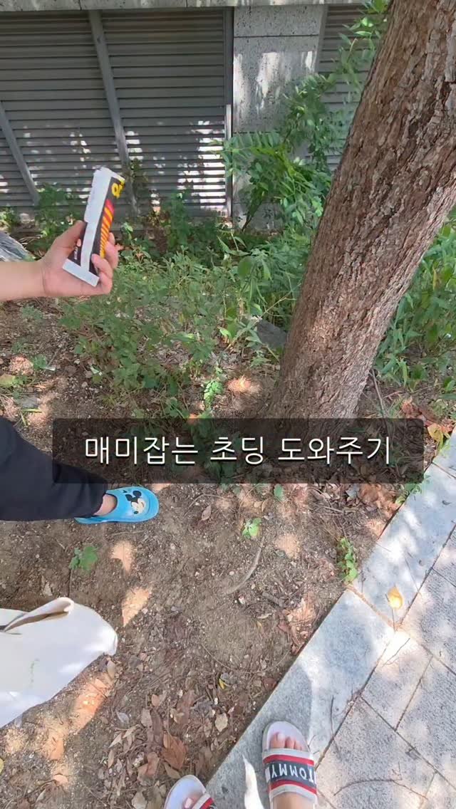 yoolbbi 게시물 이미지: 편의점에서 맥주 사서 집 가는 길이었는데
초딩이 나무에 매달려 뭔가 하고 있길래...