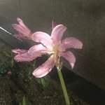 kyungza_jinju 프로필 사진