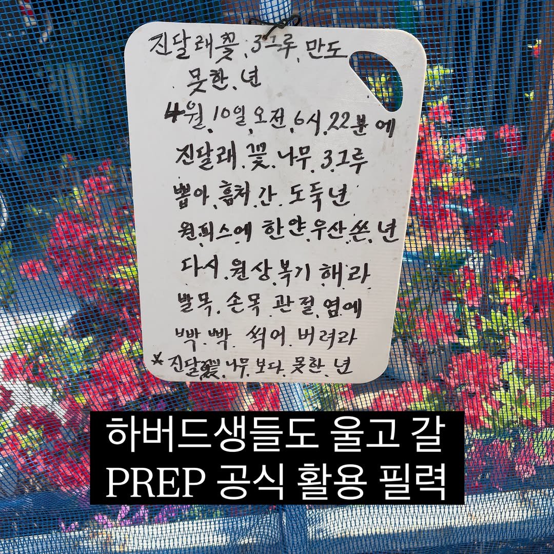 Photo by 말하기 공식 | 윤상명 in Seoul, Korea. May be an image of poster and text that says '진달래꽃 3그루 진달래꽃:3오루만도 만도 못한.년 년 4월10일오전,6시.22분에 에 4월. 4월10일오전6 오전,6시.22분 진달래.꽃.니무3그루 3.그루 진달래. 뽑아.홍처.간.도둑년 뽑아 홈처 도둑년 원피스에 한얀.우산쏜.년 자시.원상복가 다시 해라. 쌀목.손목.관절,염.에 손목 관절,염에 염에 발목.손목 발목. 삑.빡. 보바 썩어 버려라 전달꽃 보다. 못한 년 하버드생들도 울고 갈 PREP 공식 활용 필력'.