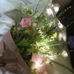 jayeonseure_ 프로필 사진