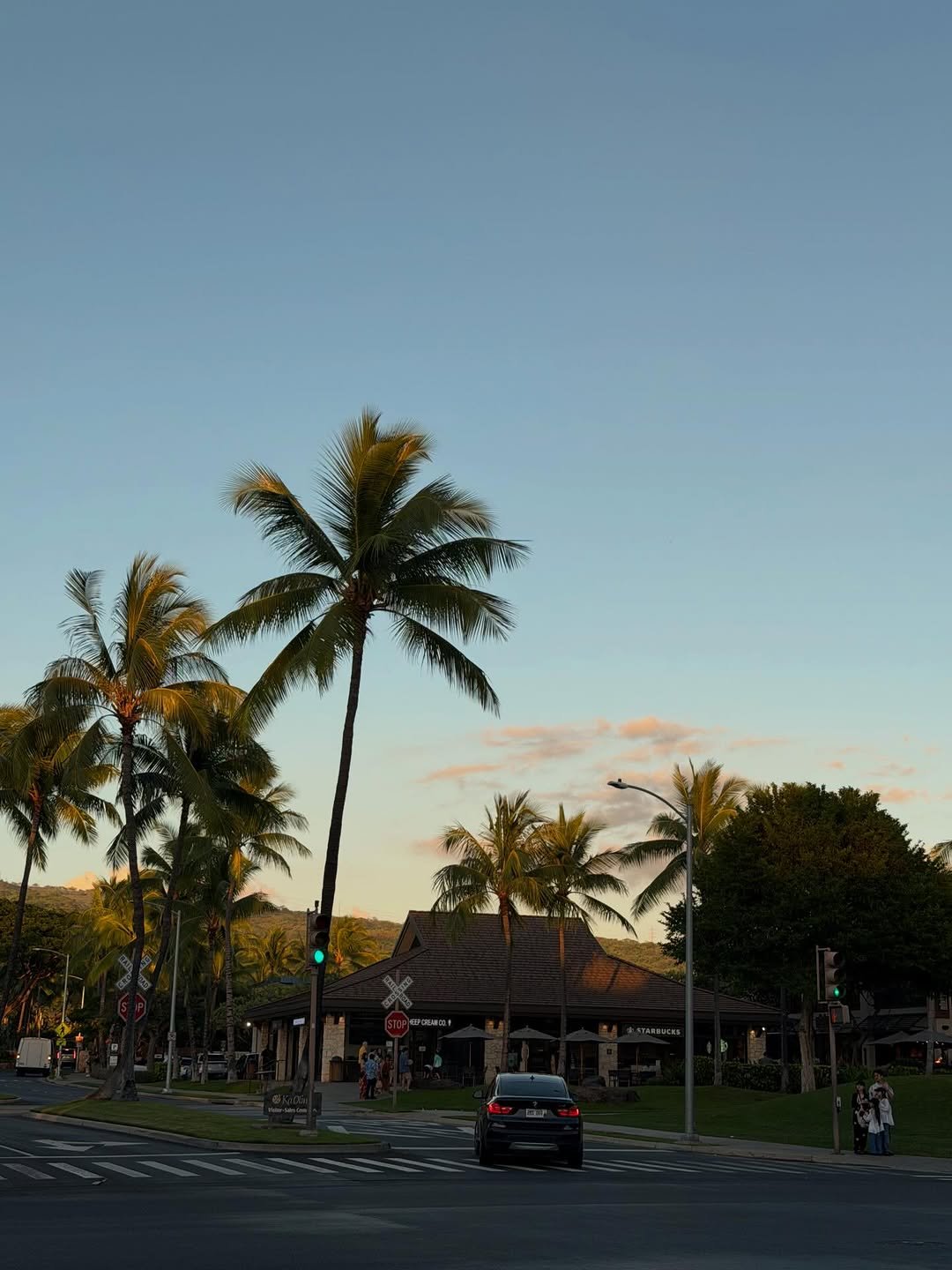 Photo by 지윤미 on February 03, 2026. May be an image of twilight, road, palm trees and text.