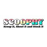 scoophy_studio 프로필 사진