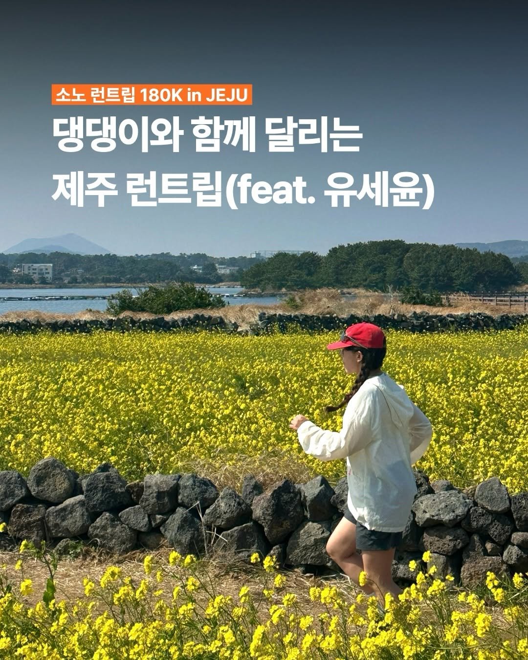 Photo shared by 윤제주 | 여행 크리에이터 YOONJU KIM on March 16, 2026 tagging @sonohotels, @jejuolletrail, @kkachi99, @jejudo_official, @visitjeju.en, @visitjeju.kr, and @seogwipo_official. May be an image of poster, outdoors and text that says '소노 런트립 180K in JEJU 댕댕이와 함께 달리는 제주 런트립 (feat. 유세윤)'.
