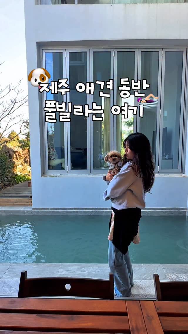 yooonjeju 게시물 이미지: (할인 tip) 🐶댕댕이도 행복한 제주 풀빌라는 여기!

댕댕이랑 인생샷 남길 수...