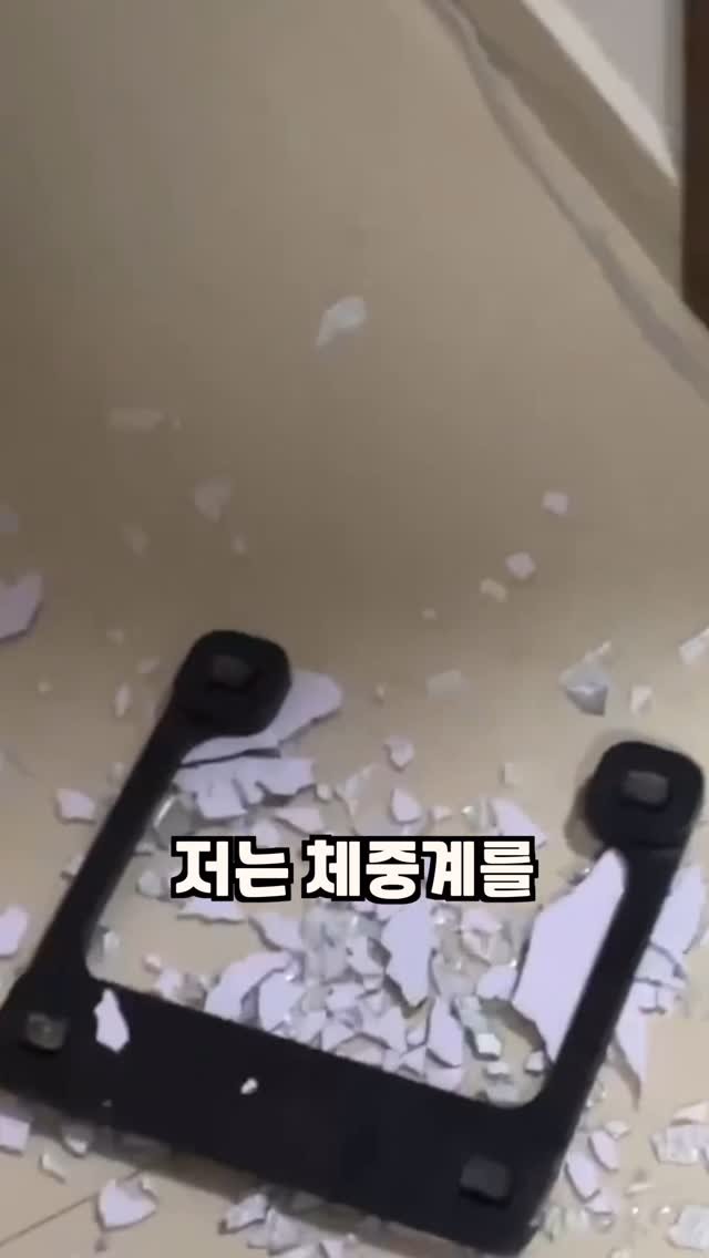 yorker_diet_49kg 게시물 이미지: 다이어트는 진짜 ‘보이는 게 다’예요.
저는 체중계 숫자는 그대로인데, 거울 속 제...