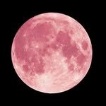 1997_winter 프로필 사진