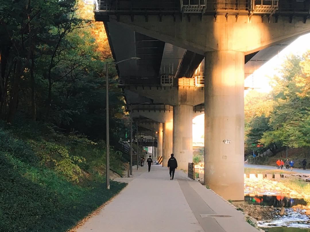 Photo by 조유영 on December 14, 2024.