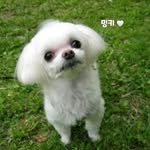 mingki049 프로필 사진