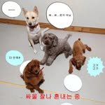 seunghun740719 프로필 사진
