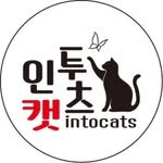 intocats_zone 프로필 사진